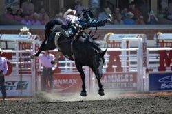 Calgary, Alberta - Stampede, Afternoon Rodeo, Canada